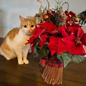 Meet your Posher, Thomas